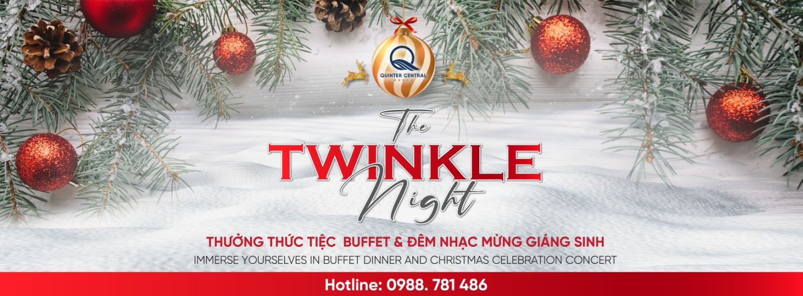 The Twinkle Night - Thưởng thức đêm tiệc giáng sinh lung linh
